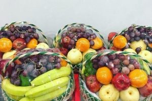 Jual Parcel Buah Untuk Orang Sakit Di Medan Satria